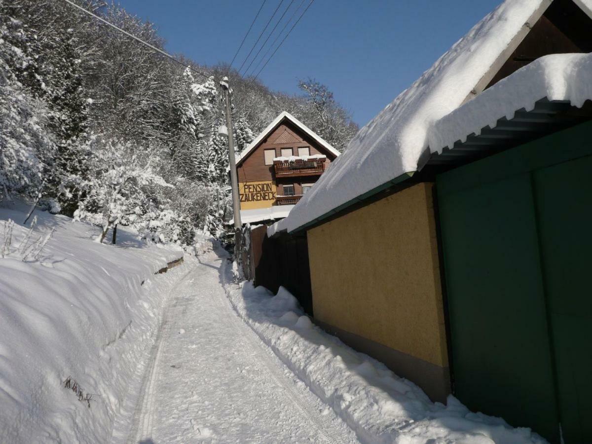 Pension Zaukeneck Bad Schandau Εξωτερικό φωτογραφία